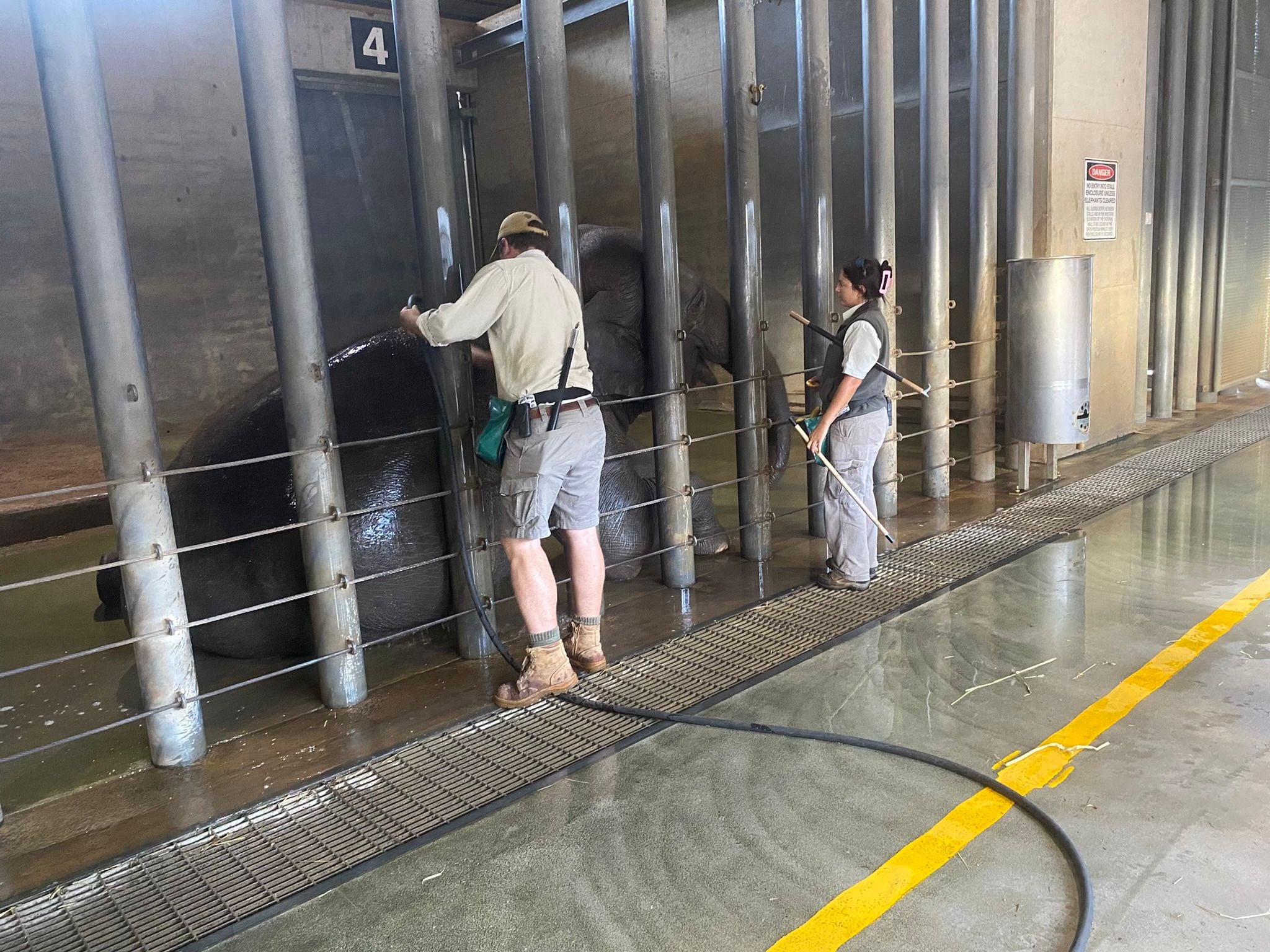 Dubbo Zoo 2025 Image -67de04b34b7c0